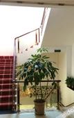 Туры в отель Wenhua Hotel
