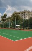 Туры в отель Country Garden Flower City Hotel