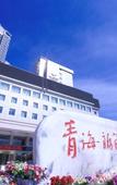 Туры в отель Fwinchine International Hotel