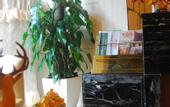 Туры в отель Carnival CEO Hotel (Chengdu Tianfu 3rd Street Funian Square)