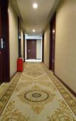 Туры в отель Shengmei Elegant Hotel (Longgang Nanlian Subway Station)