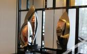 Туры в отель Sunbelieve International Hotel