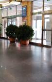 Туры в отель Xana Hotelle (Shenyangbei Railway Station Qishan Road Subway Station)