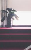 Туры в отель Jun'an Fashion Hotel