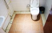 Туры в отель Dacheng Business Inn
