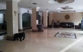Туры в отель Fu Li Hua Grand Hotel