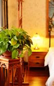 Туры в отель YiFengChengShi Hotel