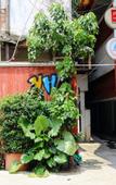 Туры в отель Ziyuan Youth Hostel