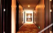 Туры в отель Tai Chi Hotel