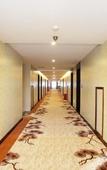 Туры в отель Songshan Dihao Hotel