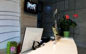 Туры в отель Cypress Lane Hotel(Vanward City store)