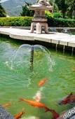 Туры в отель Long Island Golf & Private Resort Hotel