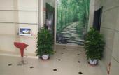 Туры в отель Xiangtian Hotel