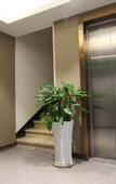 Туры в отель Homeinn Plus Hotel (Hangzhou Xihu Sudi Hupao Road)
