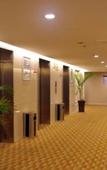 Туры в отель Jingyu Hotel (Zhongyuan Wanda Ersha Metro Station)