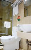 Туры в отель Holiday Inn Shanghai Viberly