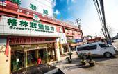 Туры в отель Holiday Inn Shanghai Viberly