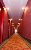 Туры в отель Holiday Inn Shanghai Viberly