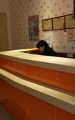 Туры в отель Yalan Hostel