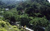 Туры в отель Shenzhen Wuzhou Yunhai Hotel (Yunhai Angel Bay Branch)