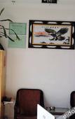 Туры в отель Chashan Hostel