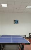 Туры в отель Dmegc Hotel