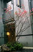 Туры в отель The Lucid Resort Tiantai