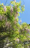 Туры в отель The Lucid Resort Tiantai