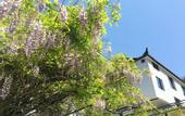 Туры в отель The Lucid Resort Tiantai