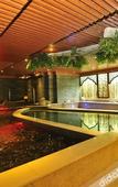Туры в отель Zhongwang Hot Spring Hotel