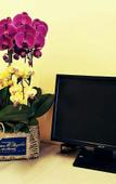Туры в отель Homeinn Hotel (Hohhot Dazhao Temple Saishang Old Street)
