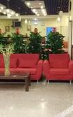 Туры в отель Homeinn · neo (Tianjin Hongqi Road Yibin Dao Subway Station)