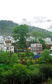 Туры в отель Floral Lux· Warm Wood Lodge, Huangshan South Gate