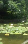 Туры в отель Haosen Holiday Garden Hotel