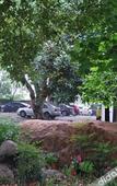 Туры в отель Haosen Holiday Garden Hotel