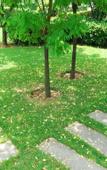 Туры в отель Haosen Holiday Garden Hotel