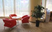 Туры в отель Ginza Jingsu Hotel (Jinan North Daming Lake store)