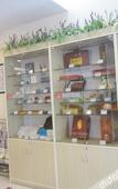 Туры в отель Grace Inn (Taian Qingnian Road)