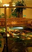 Туры в отель Lilac Garden Hotel