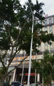 Туры в отель Huizhou Yijiasheng Hotel (Huicheng Jiangbei Municipal Government Branch)