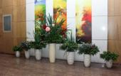 Туры в отель VYLUK Hotel