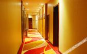 Туры в отель VYLUK Hotel
