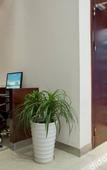 Туры в отель City Comfort Inn Hotel (Baise Layu Bridge Tianzhou Jiale City)