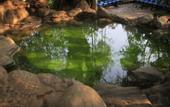 Туры в отель Huquan Resorts & Spa