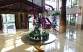 Туры в отель Huquan Resorts & Spa