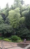 Туры в отель Shangyu Hotel Zhejiang