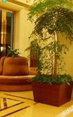 Туры в отель Shangyu Hotel Zhejiang