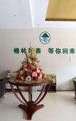 Туры в отель GreenTree Inn Express (Suzhou railway station Guogou Plaza store)