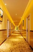 Туры в отель Homeinn Pebble Hotel (Shanghai Pudong Zhangjiang Road Subway Station)