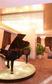 Туры в отель Star International Hotel